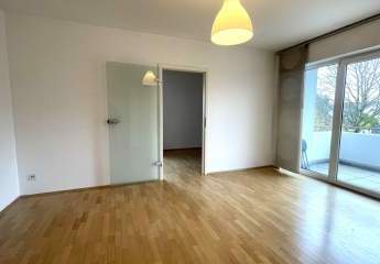 477643-Vorschaubild3