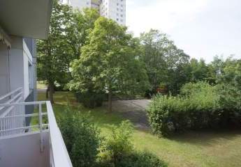 481892-Vorschaubild3