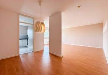 488241-Vorschaubild3