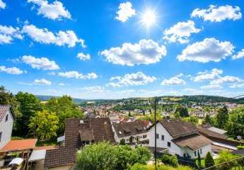 493929-Vorschaubild3