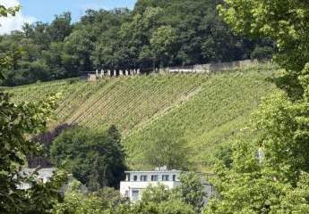 496256-Vorschaubild3
