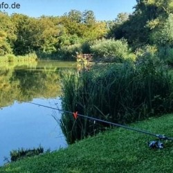 Angelsee & Camping mit 5 Holzhäuser - 12 KM von Pécs