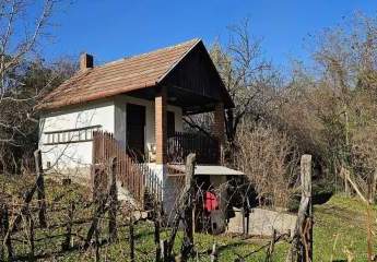 2 Keller/Wochenendhaus mit großem Grundstück in den Weinbergen von Marcali zu verkaufen