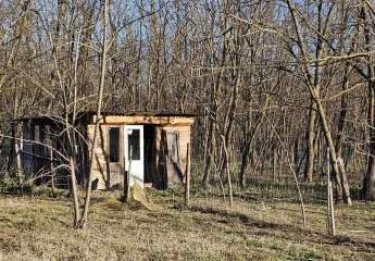 0,4 Hektar großes Grundstück mit Wald in der Nähe des Plattensees zu verkaufen