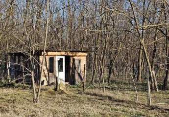 0,4 Hektar großes Grundstück mit Wald in der Nähe des Plattensees zu verkaufen