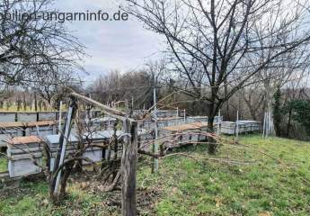 427431-Vorschaubild2