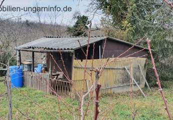 427431-Vorschaubild3