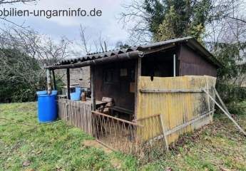 427431-Vorschaubild4