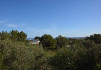 Die herrliche Bucht von Cala Millor immer im Blick