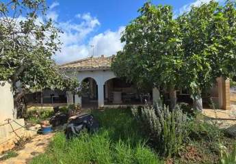Schöne Finca zwischen Porto Cristo und S´Illot