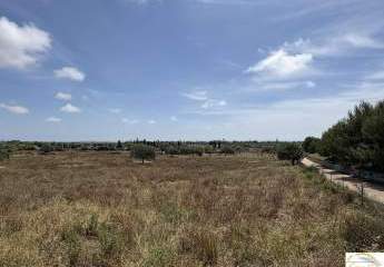 Finca mit Altgenehmigung - modernes Neubauprojekt zwischen Manacor & Porto Cristo
