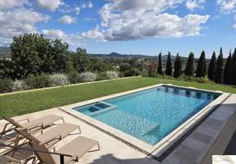 453172-Vorschaubild3