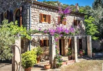 453410-Vorschaubild2