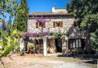 453410-Vorschaubild3