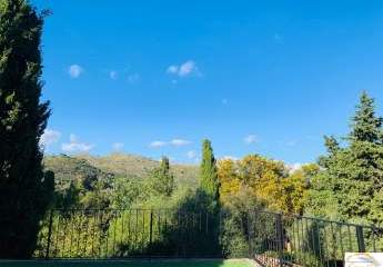 453410-Vorschaubild4