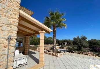 453420-Vorschaubild3