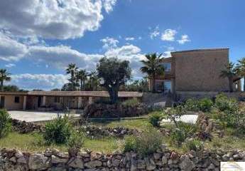 453420-Vorschaubild4