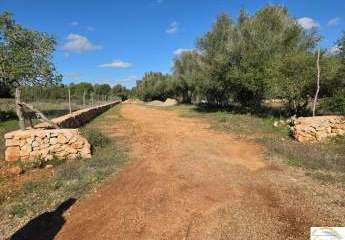 428496-Vorschaubild2