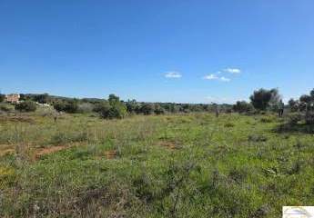 428496-Vorschaubild3