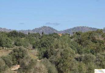 428496-Vorschaubild4