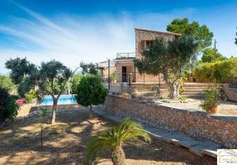 462988-Vorschaubild2