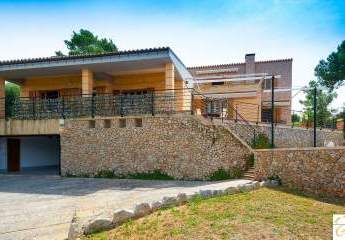 462988-Vorschaubild3