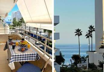 462522-Vorschaubild2