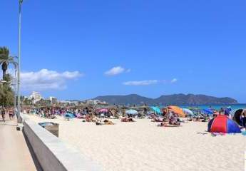 462522-Vorschaubild3