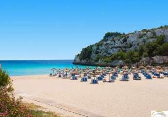 484972-Vorschaubild4