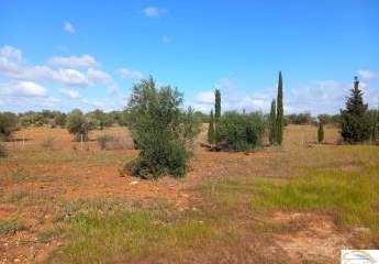 Moderne Luxusfinca mit individuellem Ausbaupotenzial auf 24.416 m² Privatgrundstück in Mallorca