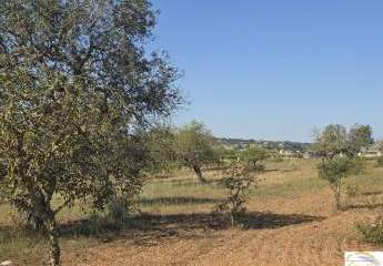 Exklusives Baugrundstück mit mediterraner Ruhe und Weitblick nahe Sant Llorenç des Cardassar