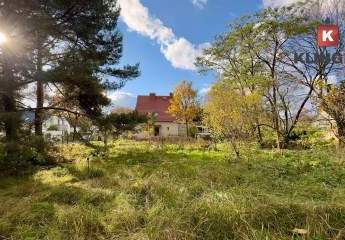 470166-Vorschaubild2