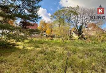 470166-Vorschaubild4