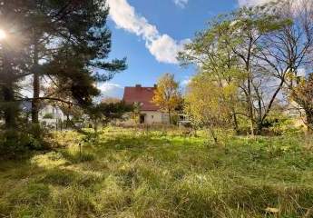 470166-Vorschaubild2