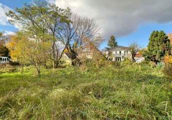 470166-Vorschaubild3