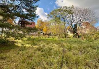 470166-Vorschaubild4