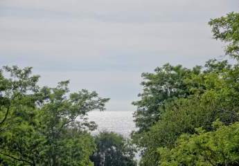 340355-Vorschaubild3