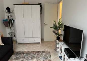 356961-Vorschaubild4