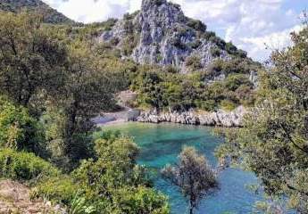 358329-Vorschaubild2