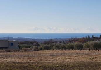 402975-Vorschaubild2