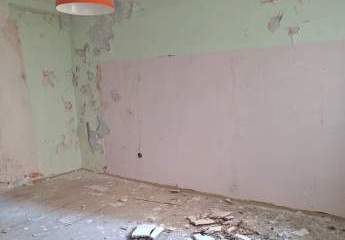 441465-Vorschaubild4