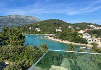 451131-Vorschaubild2