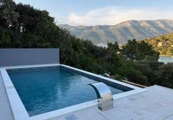 451131-Vorschaubild3