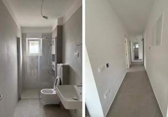 337491-Vorschaubild4