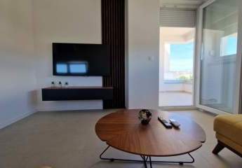 453397-Vorschaubild3