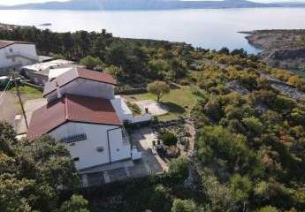 453407-Vorschaubild2