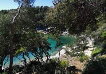 454396-Vorschaubild2