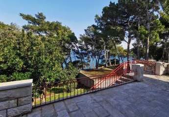 454396-Vorschaubild3