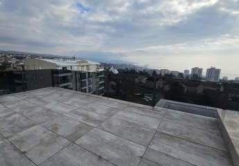 457064-Vorschaubild2