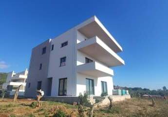 459975-Vorschaubild4